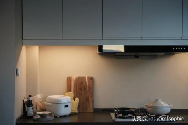 大开间一居室如何布置，110㎡只做一居室