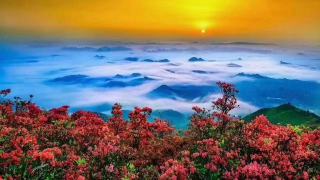 却把青梅嗅全诗赏析，却把青梅嗅