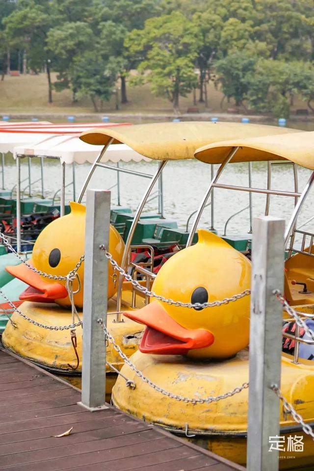 深圳地铁1号线游玩，免费地铁直达深圳这些地方一天玩遍