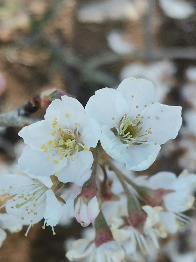 四月份是什么季节，四月份的时候是什么季节了