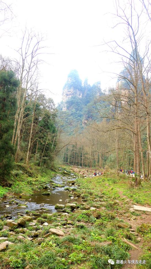 到张家界三日游，魅力湘西张家界三日游