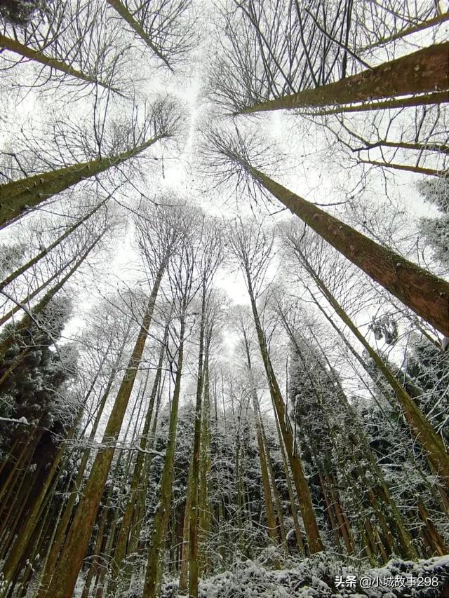 彭州太阳湾风景区，彭州太阳湾景区下雪（<5>彭州·海窝子古镇）