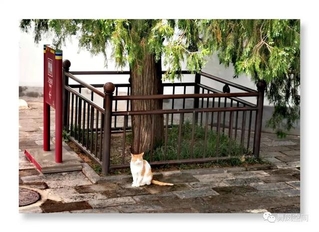 北海公园的白塔有什么来历，北海白塔