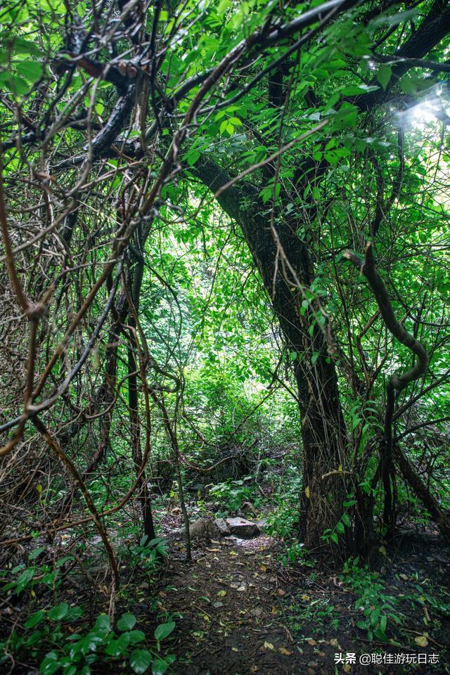 北京徒步登山怀柔麟龙山，平安山徒步一日游