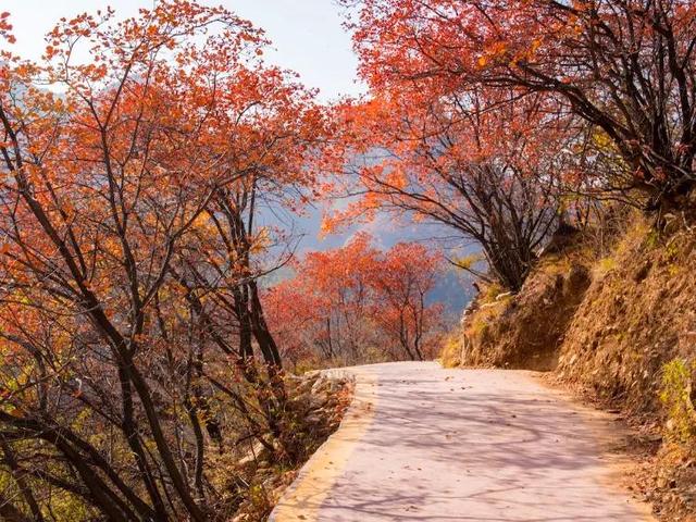 河北邯郸都有什么旅游景点，这些景色你可曾了解