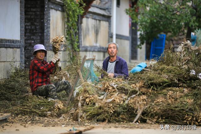 山东省乳山市旅游景点大全，乳山最美乡村藏在山中林中