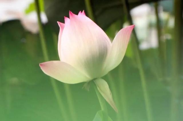 面相学看人的特点，面相由性格决定