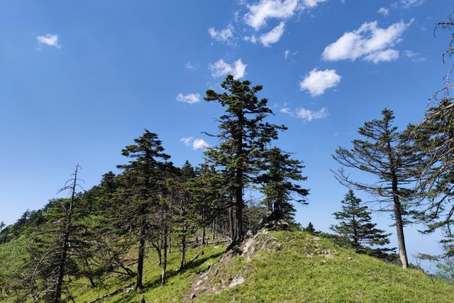 尖山风景区攻略，假期一家人出游蔚县飞狐峪里的尖山