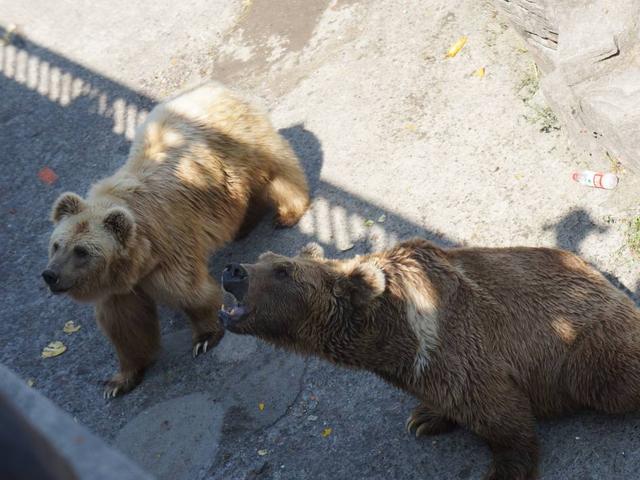 有趣的对联谜语及答案，5副暗藏玄机的谜语对联