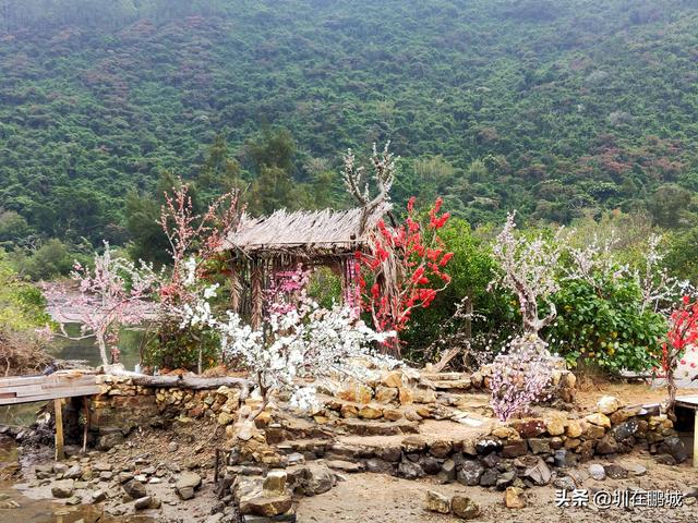 杨梅坑鹿嘴山庄，杨梅坑深圳旅游（鹿嘴山庄寻鹿攻略）