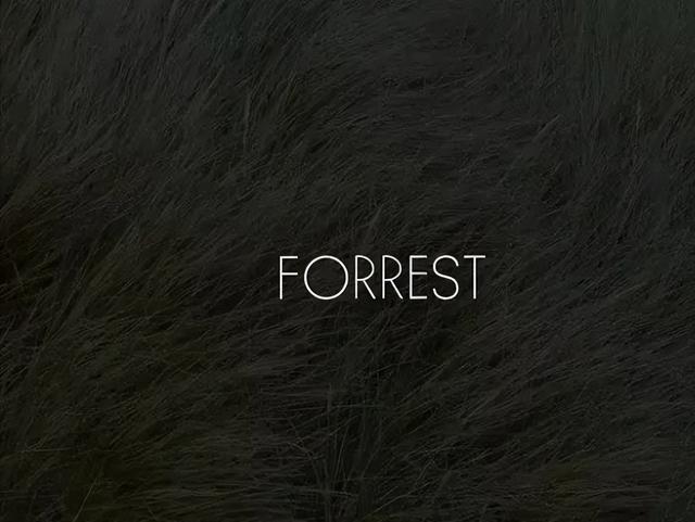 dw手表是啥牌子，种草还在戴DW你就Out了