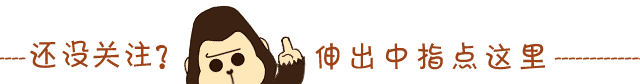 zard肥胖(肥胖综艺节目)