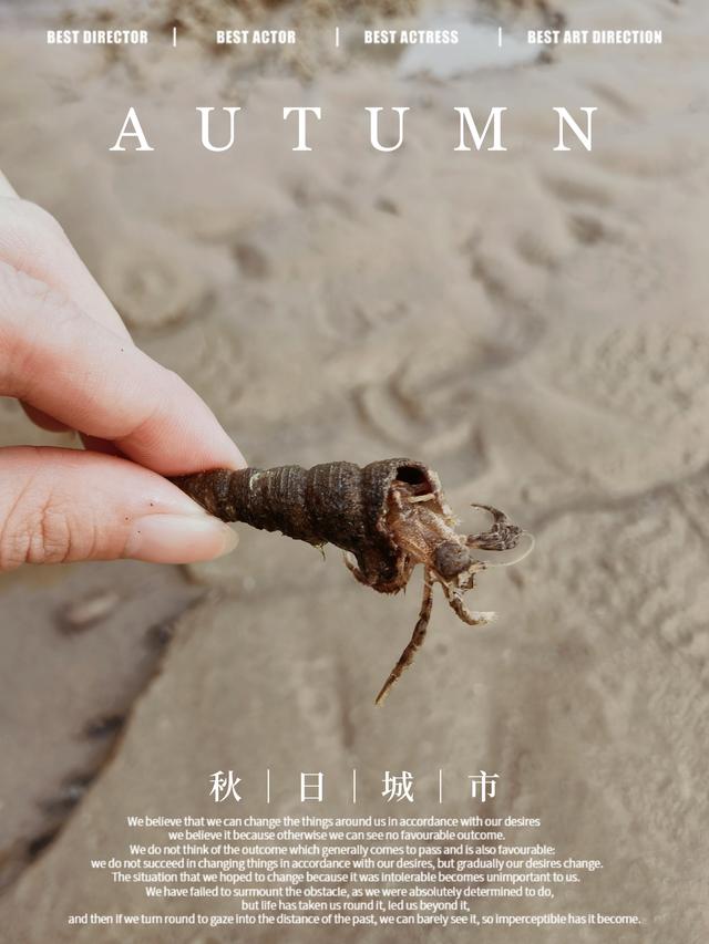 海陵岛游玩攻略，海陵岛游玩最佳路线攻略（吃住玩经验都在这里）