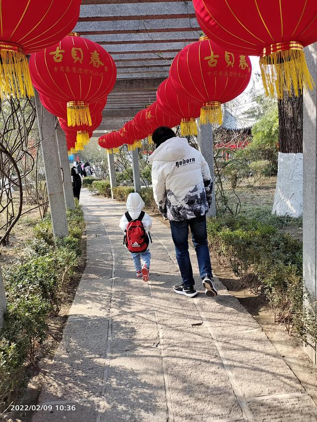 亲子教育有什么困惑，当代亲子教育中的大问题