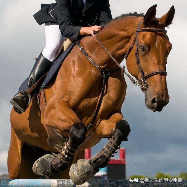 伯乐相马的故事概括，伯乐相马成语故事简介