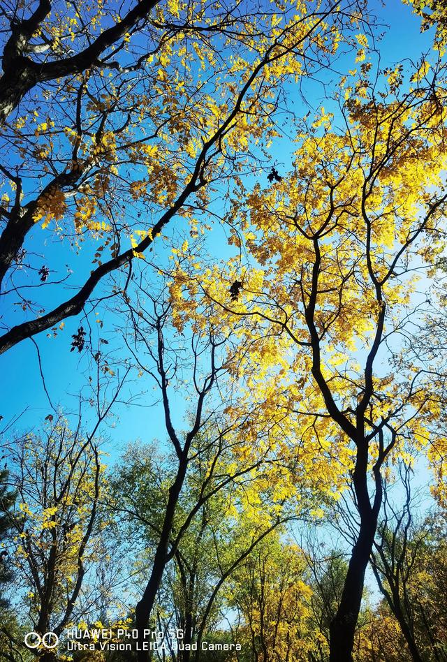 北宫国家森林公园景点介绍，北宫国家森林公园游记