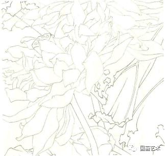 工笔画荷花的画法及步骤初学者，工笔荷花画法分享