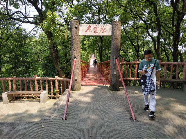 重庆短途摩旅推荐路线，重庆主城摩旅推荐之歌乐山森林公园