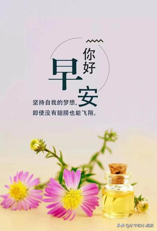 早安一句话唯美句子，关于早安心语的句子有哪些（早安心语正能量简单一句话阳光语录）