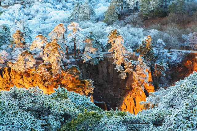 黄山冬季旅游攻略，黄山冬季旅游攻略自由行（迎接新年便开始倒计时了）