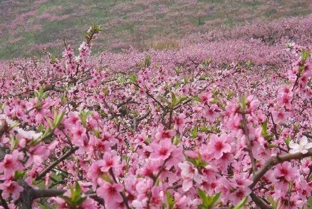 贵州石阡县佛顶山景区，贵州最适合慢旅游的地方