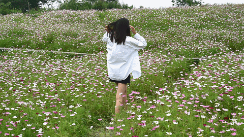 9月成都周边最适合露营，不出成都市区打卡9大露营野餐拍照地