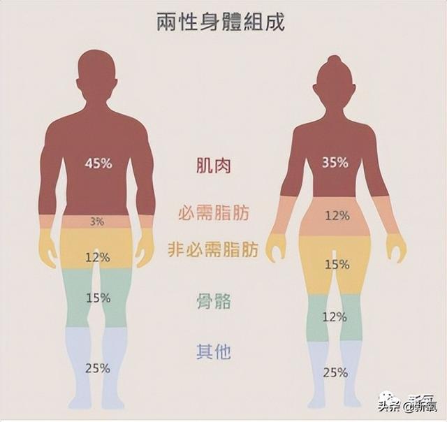 精灵美少女图鉴，被称为超能少女的宝可梦——奇鲁莉安