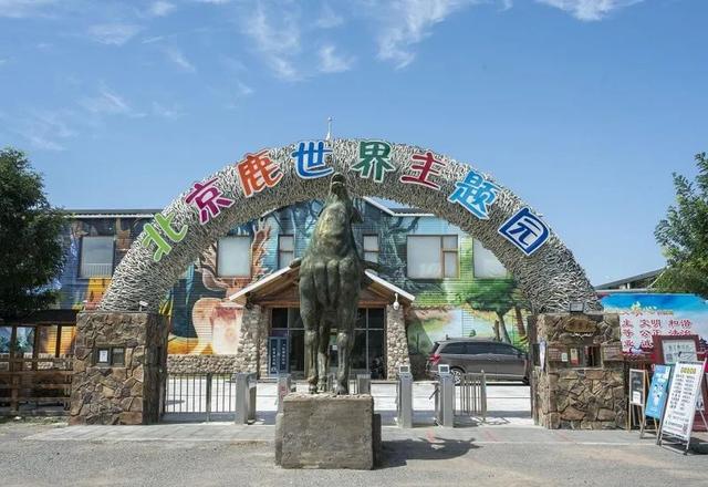 神奇动物去哪里，神奇动物去哪了解（这座城市藏不住了）