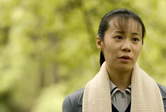 亮剑一人饰演27个角色，亮剑中的所有人物介绍