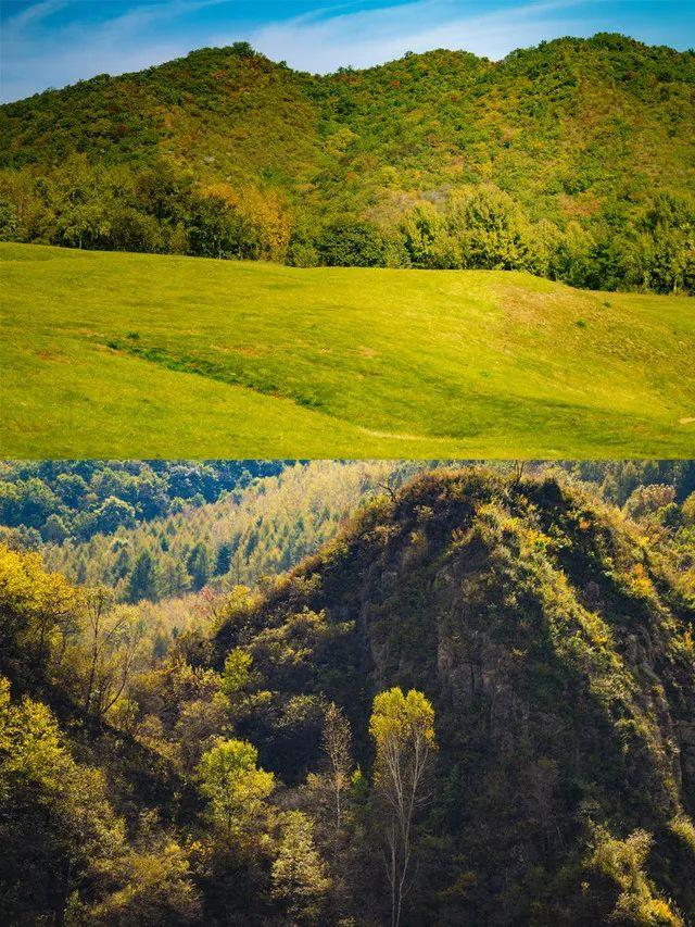 火车沿途风景最佳路线夏天，国内这些赏秋火车路线