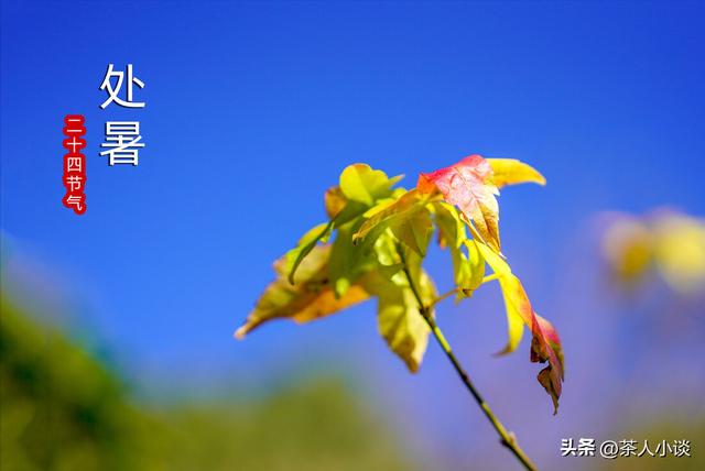 一年什么时候最冷，一年当中最冷的是几月份