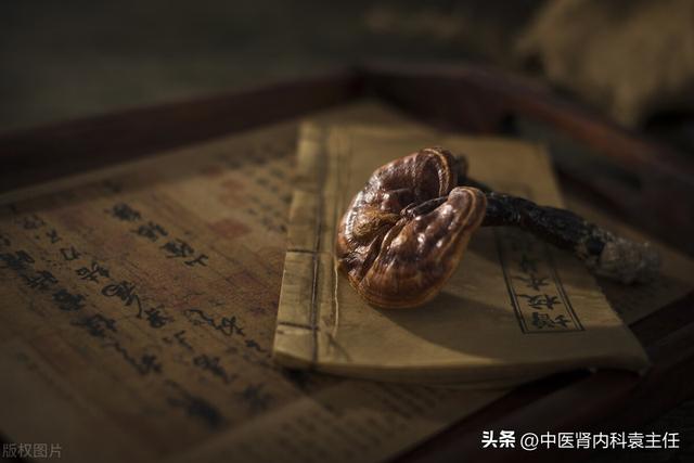 糖尿病肾病 中医(糖尿病肾病 中药)