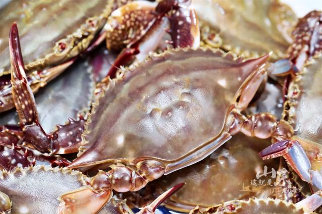 威海在哪个省哪个城市，威海属于哪个省份哪个市（中国这座海滨小城）