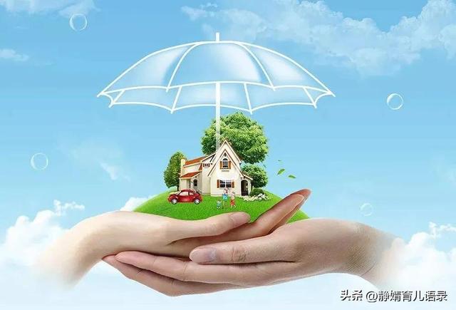 保险的专用术语，保险术语大全
