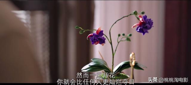 推荐最新高分韩剧，高分剧情作品，韩剧不止有欧巴