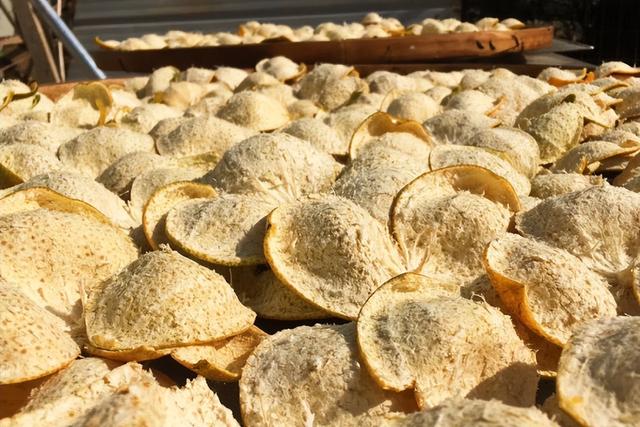 最便宜的新会陈皮多少钱一斤，新会陈皮价格揭秘