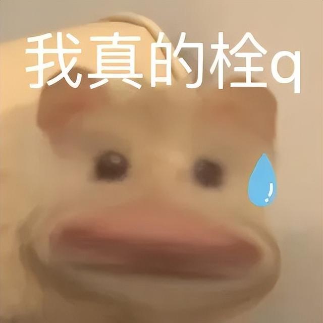 小仓鼠动态迷你表情包，变形脸仓鼠可爱老鼠
