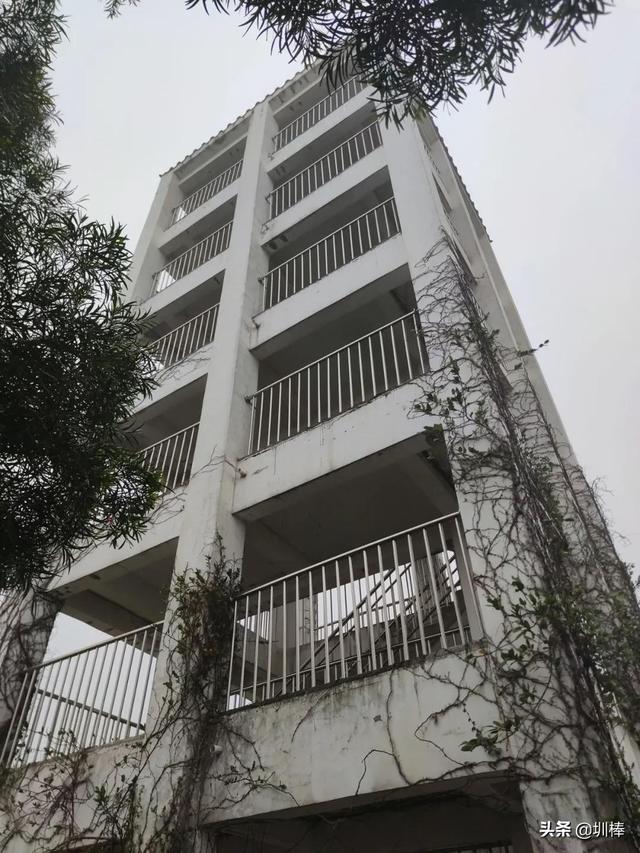 周日打卡鹏城第一峰，从蝴蝶谷-好汉坡步道登顶