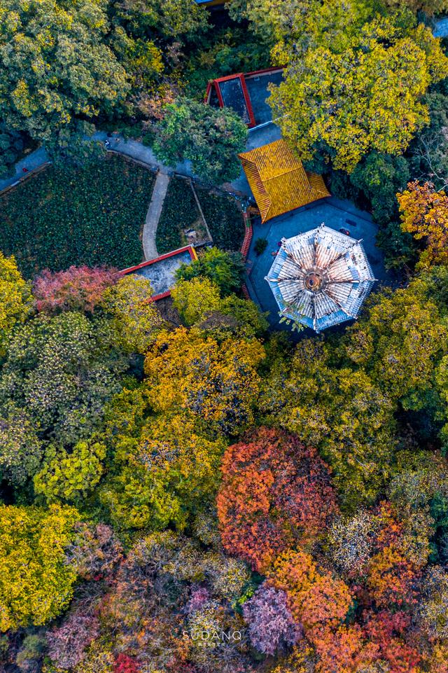 武昌宝通禅寺介绍，“大隐隐于市”——武汉宝通禅寺