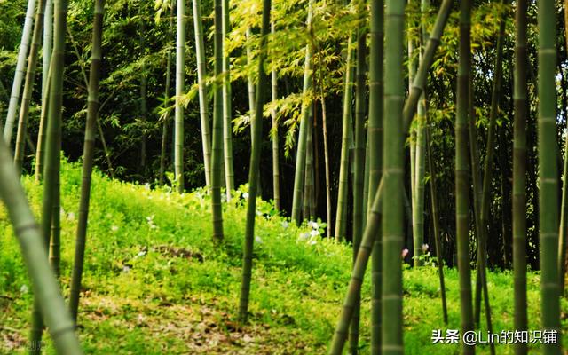16个非常有意思的冷知识，真实有趣但却鲜有人知