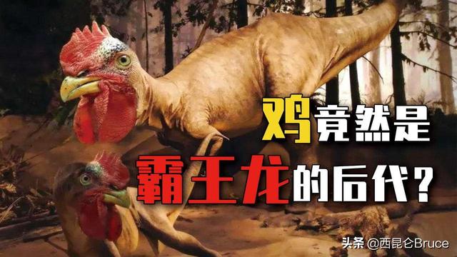 科学家意外发现恐龙的存在，科学家在中国发现脖子最长恐龙