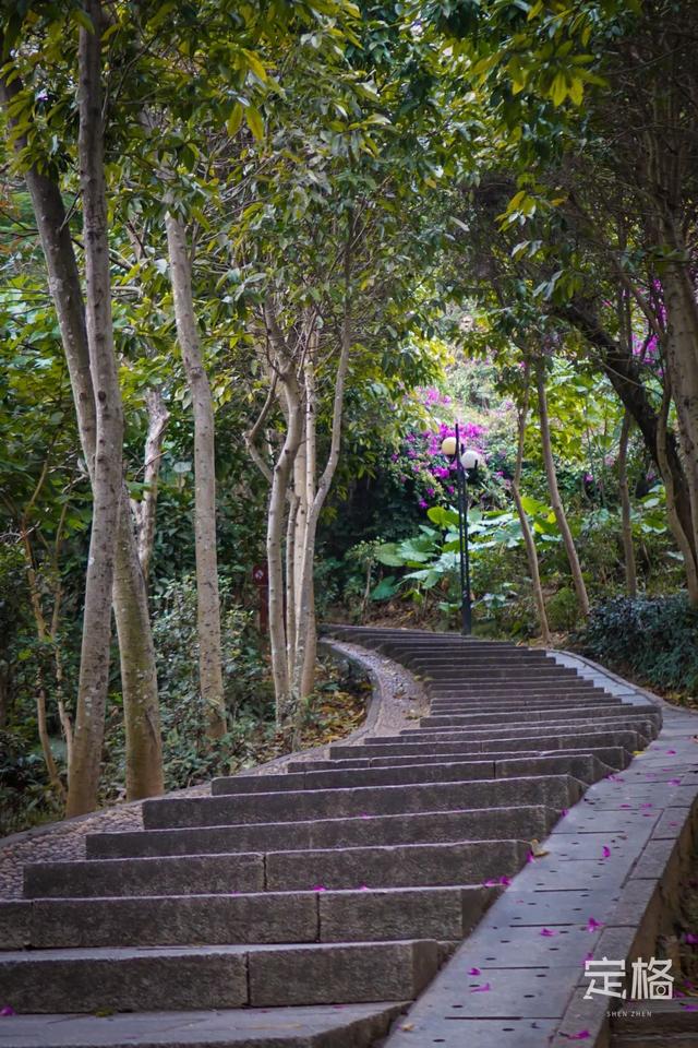 深圳地铁1号线游玩，免费地铁直达深圳这些地方一天玩遍