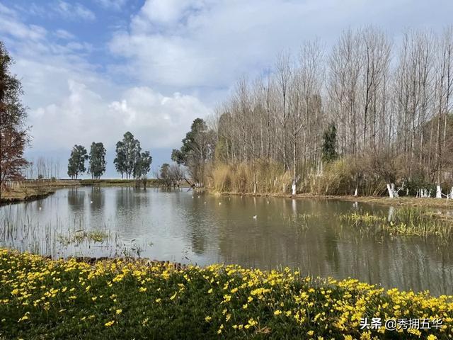 昆明地铁5号线线路图，5号线来了快上车（地铁线路图昆明5号线）