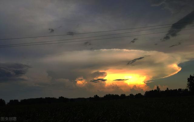 女主重生类丧尸小说，六本女主是丧尸的末世文