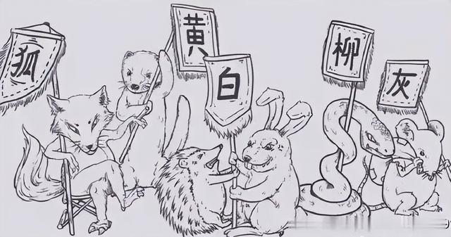 女子入厕大便全程遭拍，常州1女子当街大便