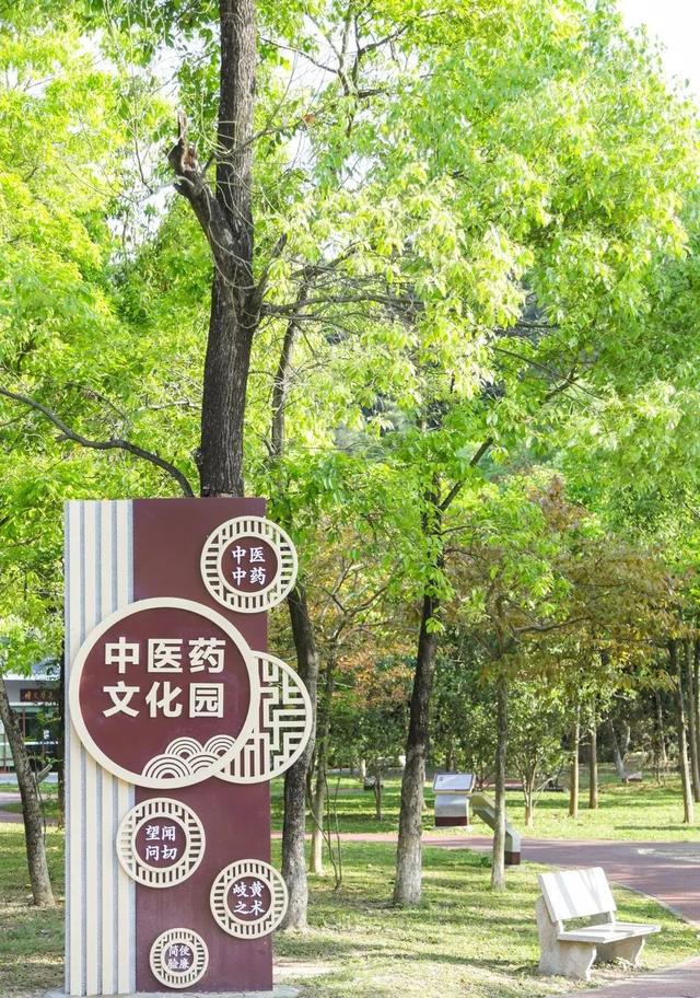 广州绿道田园景点，博罗这些高颜值绿道等你来打卡