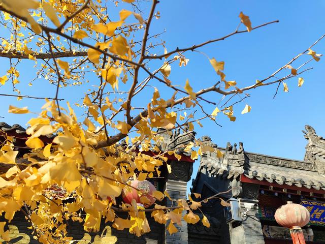 东陵区郊野公园，沈阳东陵郊野公园的美景真好