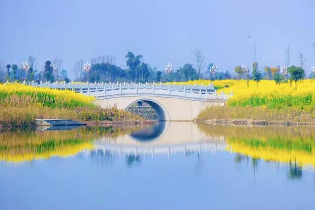 成都周边花海一日游，成都出发1h赏千亩梨花
