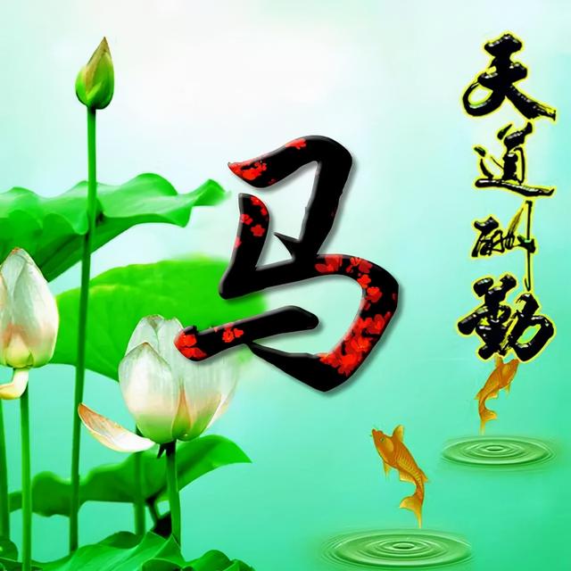 荷花头像图片大全，荷花头像高清图