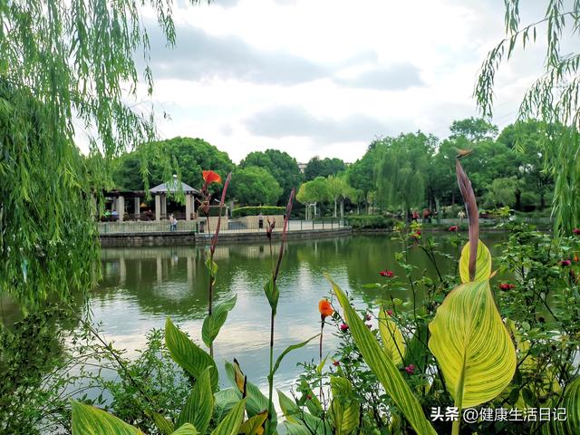 上海最值得徒步的路线，徒步上海普陀区甘泉公园